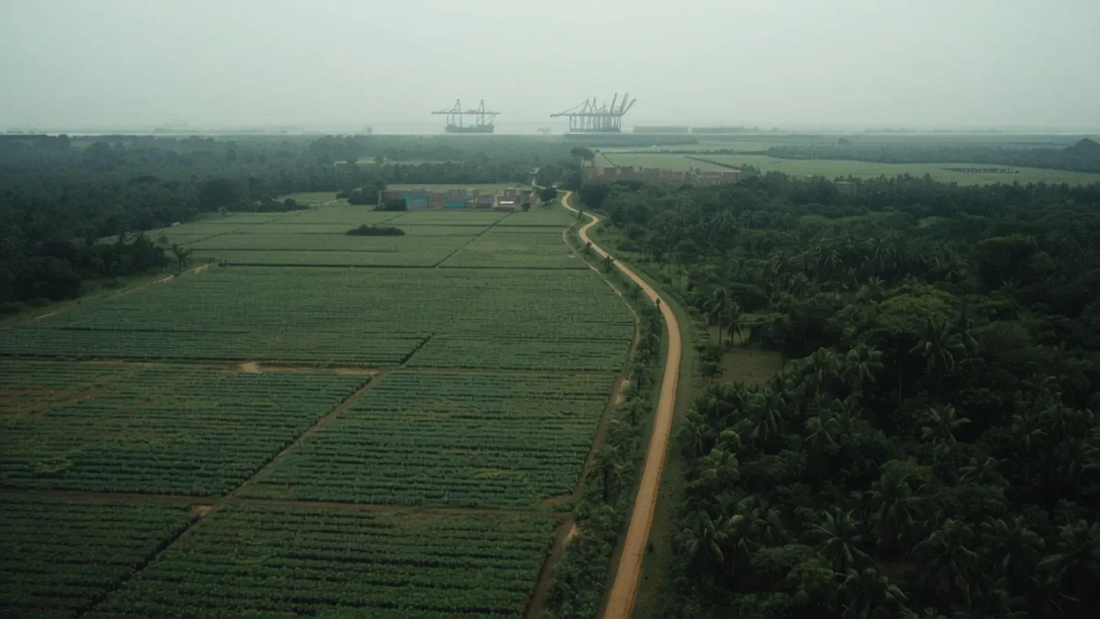Aerial view of parcelled farm plots meeting dense standing forest, with an earth track running between them toward a container port on the horizon